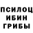 Псилоцибиновые грибы Psilocybe vzeukmm ctujghj