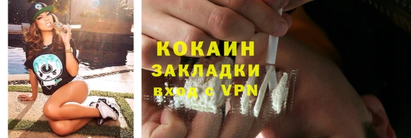 прущие грибы Бородино