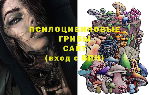 СК Богородицк