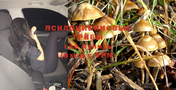 кристаллы Богданович