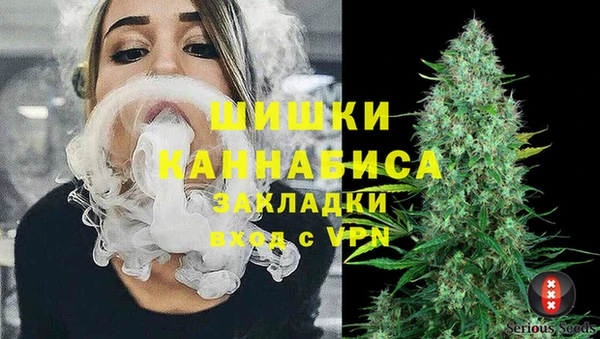 СК Богородицк