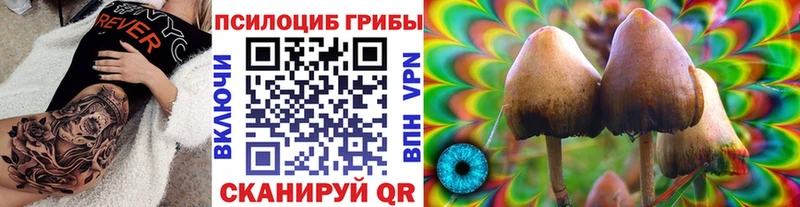 Псилоцибиновые грибы ЛСД  цена   Туран 